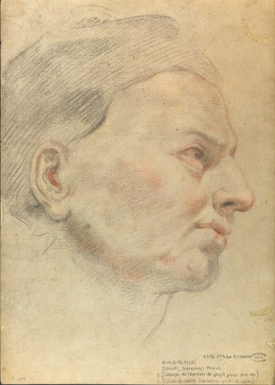 Head of a Man in Profile to the Right by Domenico Maria Canuti